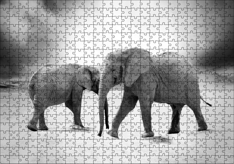 Savanada İki Fil ve Bulutlu Gökyüzü Monokrom Puzzle Yapboz MDF Ahşap 500 Parça 49 cm X 68 cm