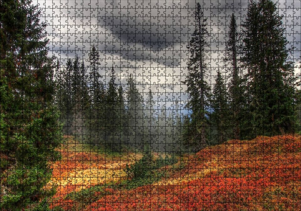 Orman Kara Bulutlar Turuncu Çiçekler Puzzle Yapboz MDF Ahşap 1000 Parça 49 cm X 68 cm