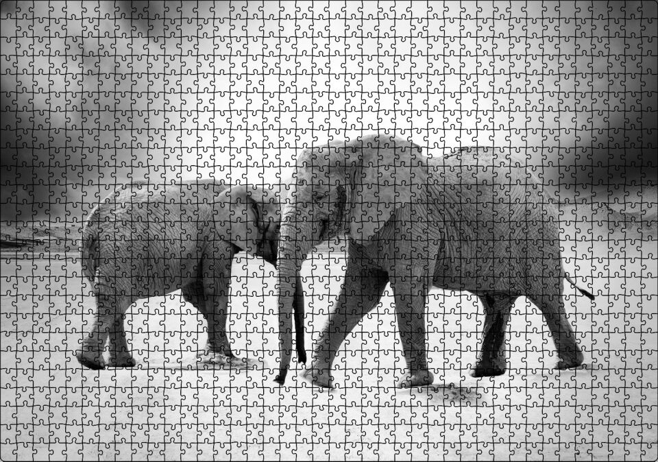 Savanada İki Fil ve Bulutlu Gökyüzü Monokrom Puzzle Yapboz MDF Ahşap 1000 Parça 49 cm X 68 cm