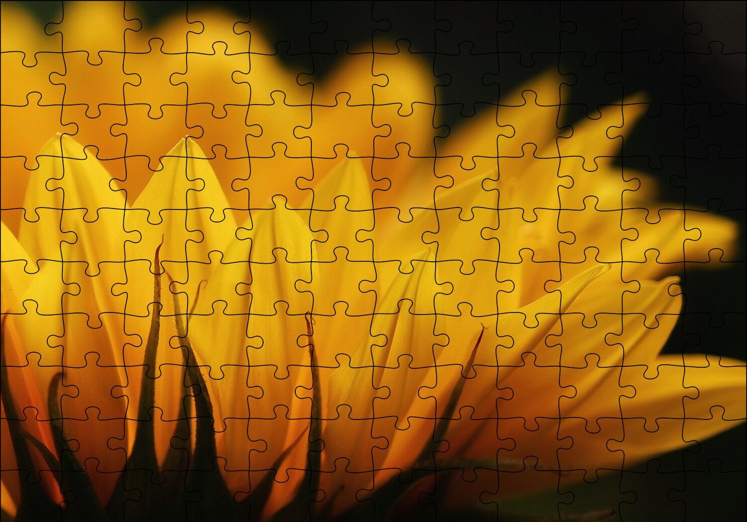 Günebakan Çiçeği Makro Çekim Puzzle Yapboz MDF Ahşap 120 Parça 24 cm X 34 cm