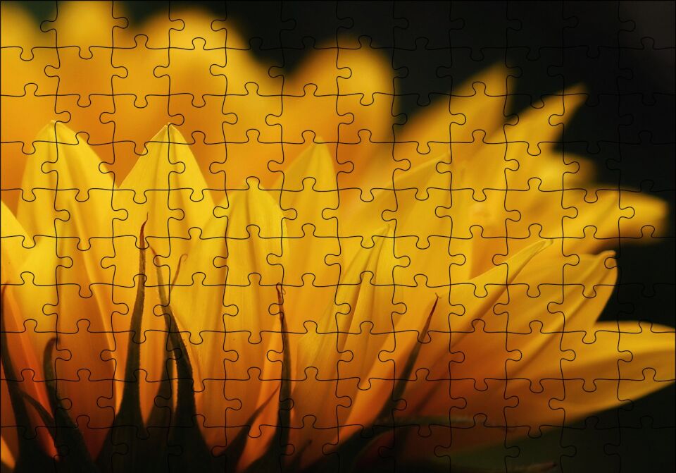 Günebakan Çiçeği Makro Çekim Puzzle Yapboz MDF Ahşap 120 Parça 24 cm X 34 cm