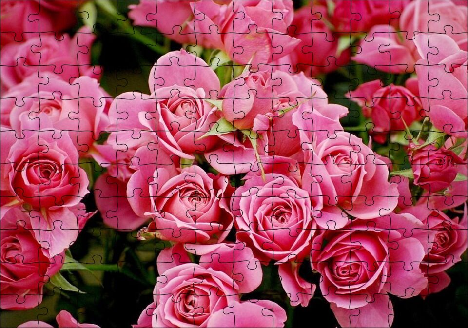 Pembe Güller Puzzle Yapboz MDF Ahşap 120 Parça 24 cm X 34 cm