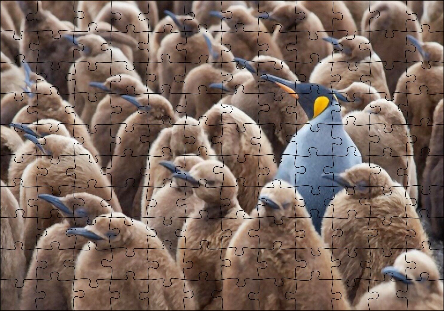 Yetişkin Kral Penguven ve Yavru Penguenler Görseli Puzzle Yapboz MDF Ahşap 120 Parça 24 cm X 34 cm