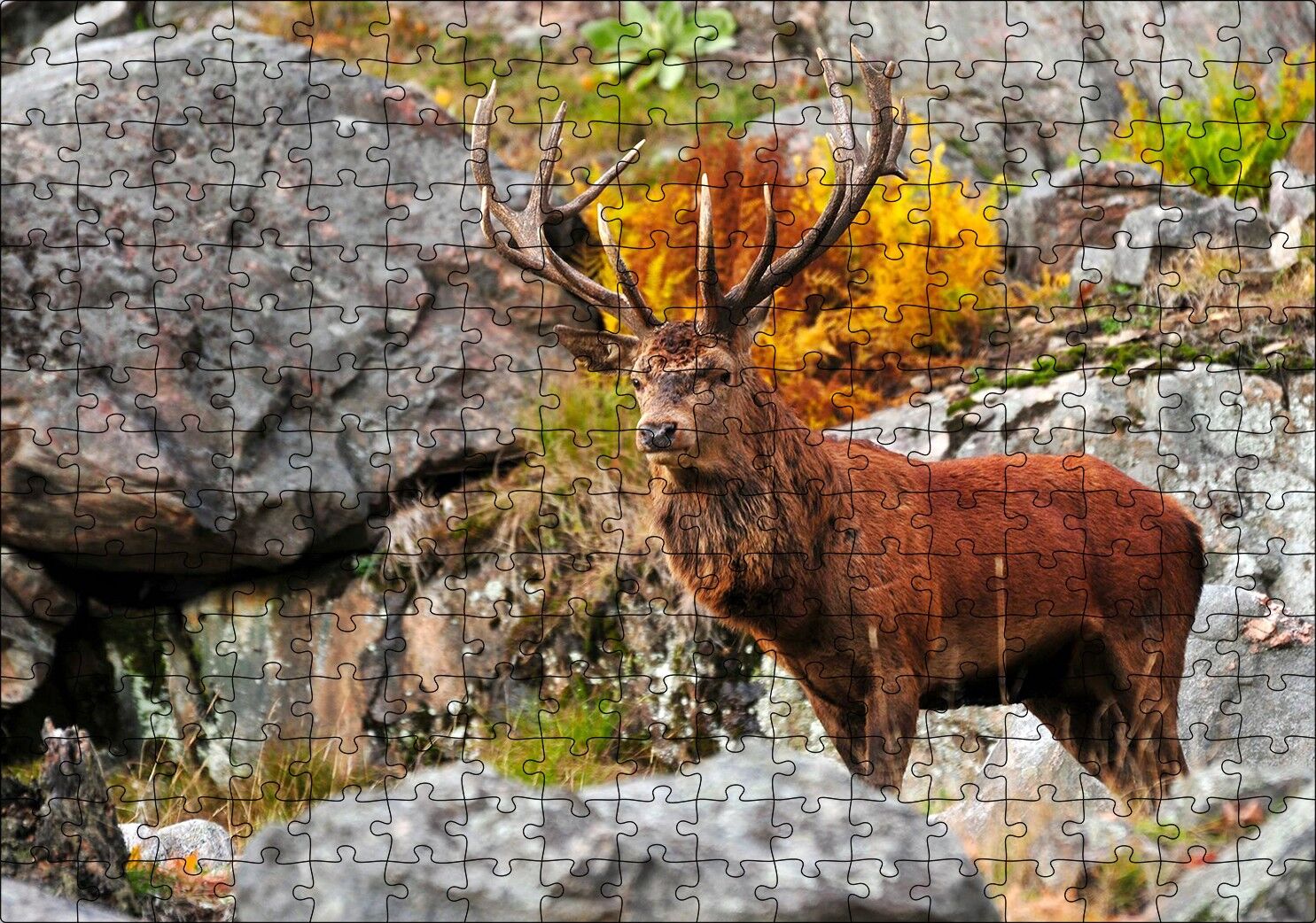 Kayalıklar ve Boynuzlu Kahverengi Geyik Puzzle Yapboz MDF Ahşap 255 Parça 34 cm X 49 cm