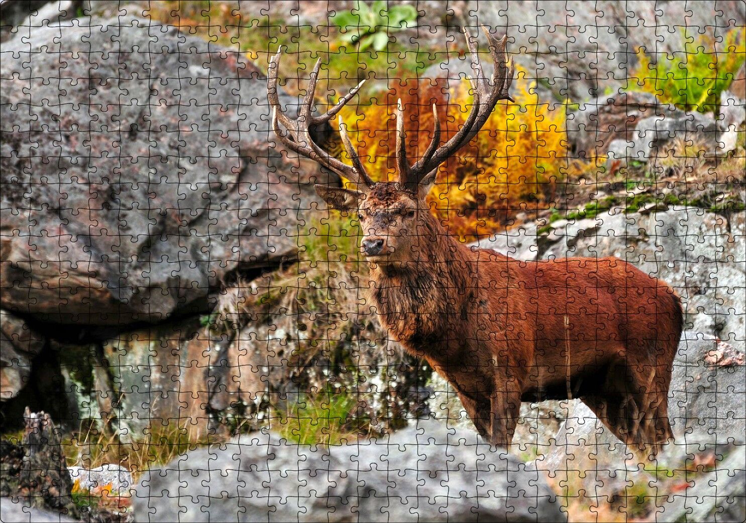 Kayalıklar ve Boynuzlu Kahverengi Geyik Puzzle Yapboz MDF Ahşap 500 Parça 49 cm X 68 cm
