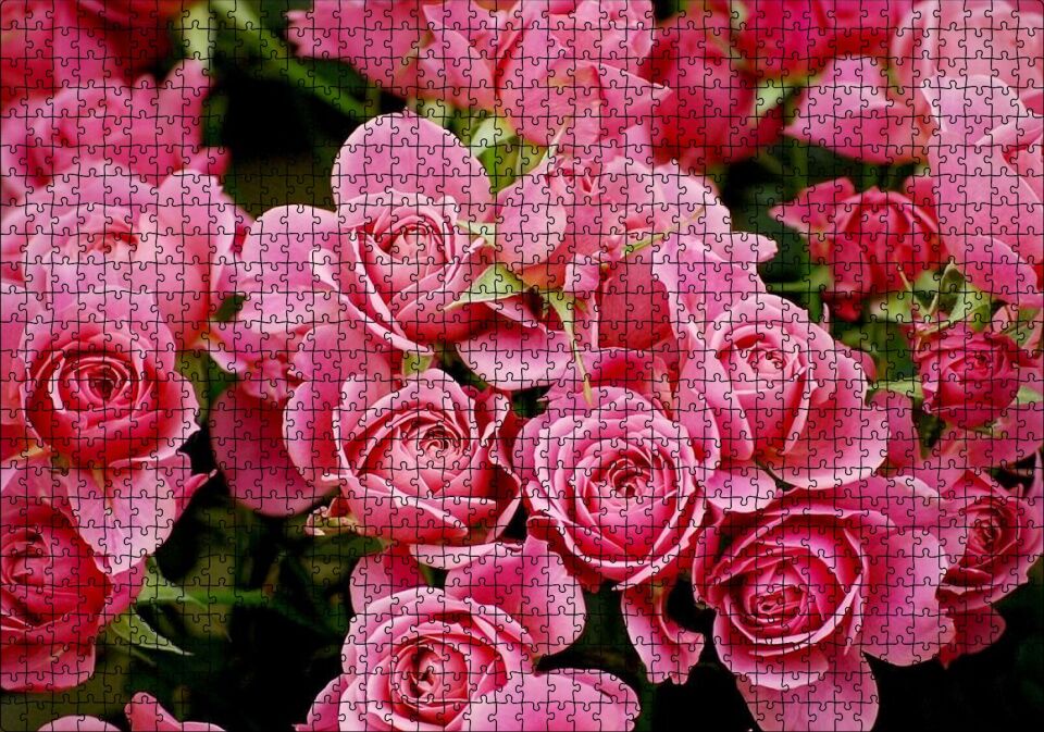 Pembe Güller Puzzle Yapboz MDF Ahşap 1000 Parça 49 cm X 68 cm
