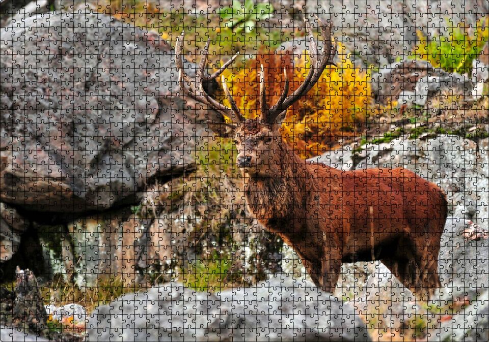 Kayalıklar ve Boynuzlu Kahverengi Geyik Puzzle Yapboz MDF Ahşap 1000 Parça 49 cm X 68 cm