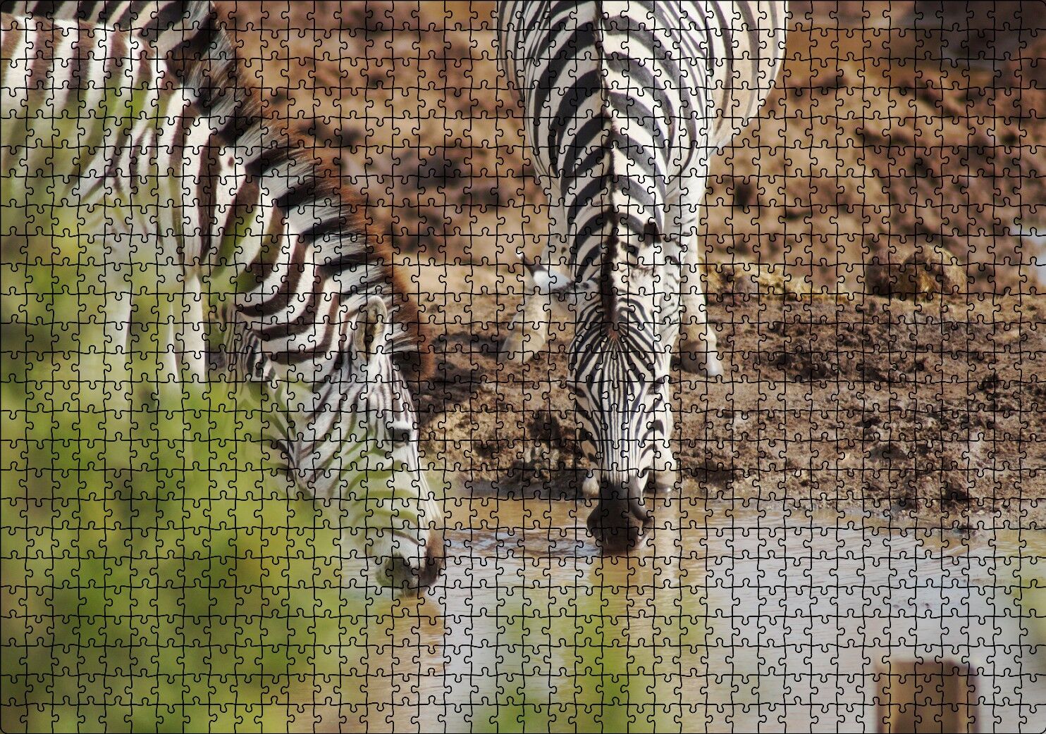 Savanada Su İçen Zebralar Puzzle Yapboz MDF Ahşap 1000 Parça 49 cm X 68 cm