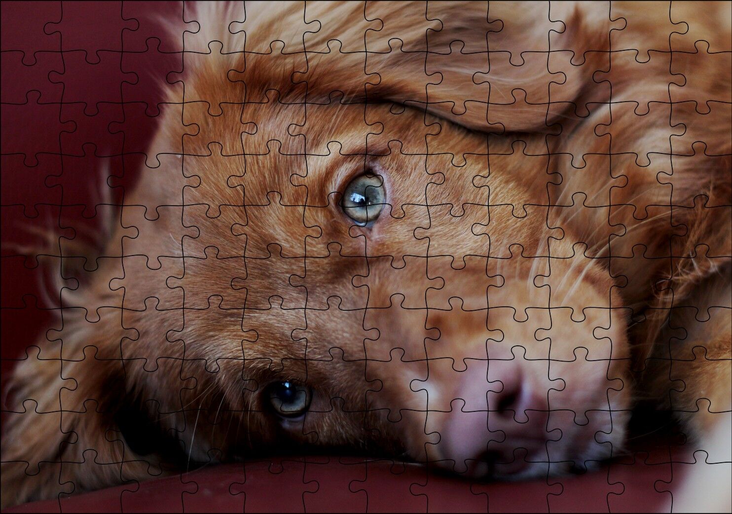 Sevimli Kahverengi Köpek Yakın Çekim Puzzle Yapboz MDF Ahşap 120 Parça 24 cm X 34 cm