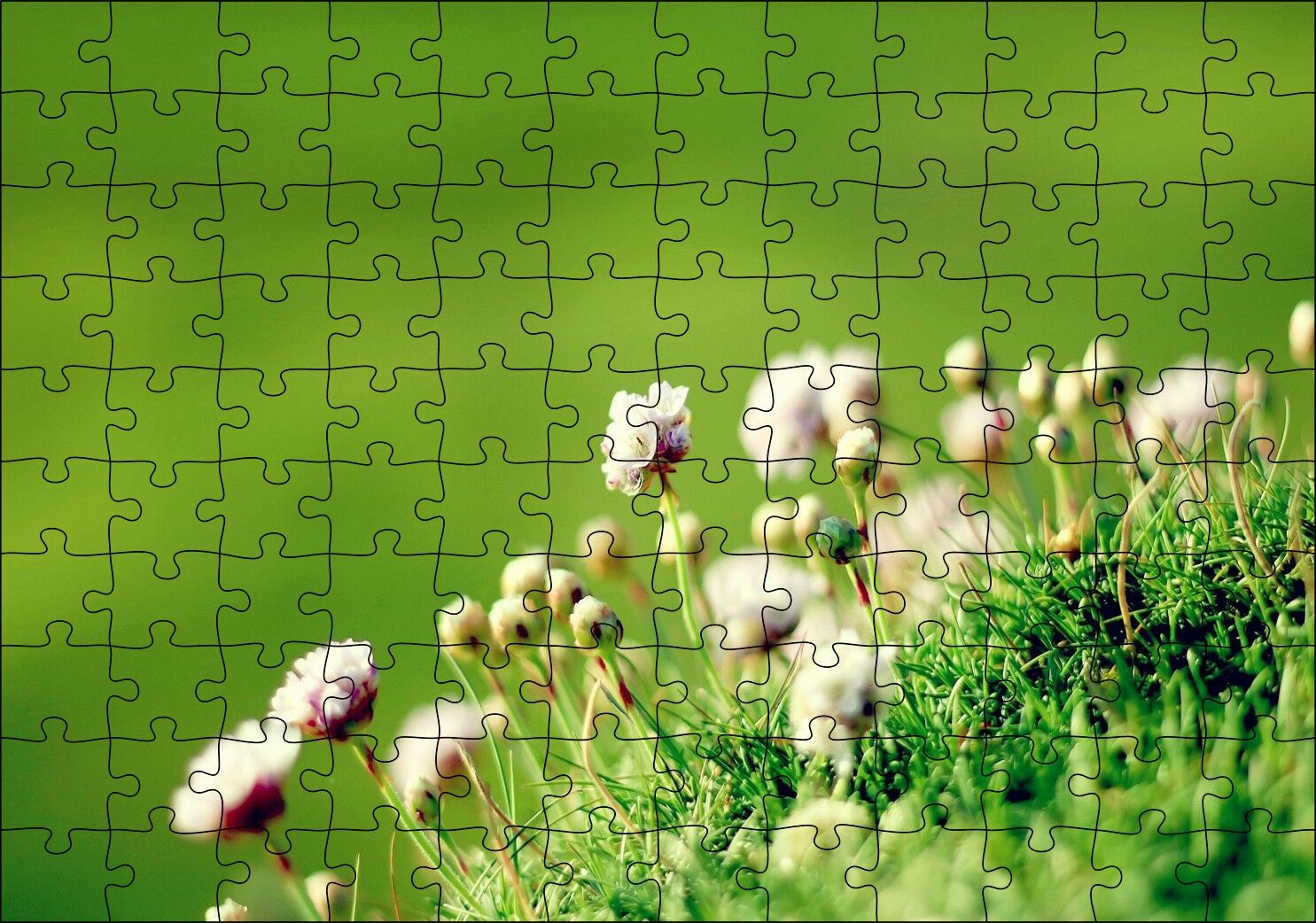 Otların Arasında Yeni Açan Çiçekler Puzzle Yapboz MDF Ahşap