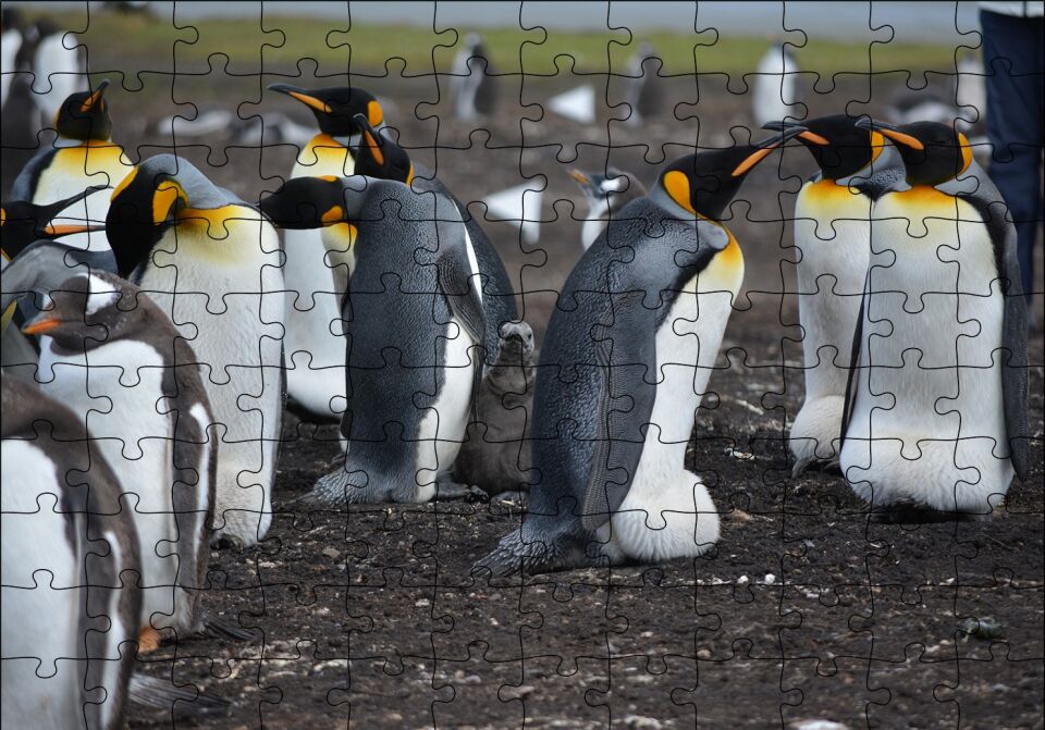 İmparator Penguenleri ve Yavru Puzzle Yapboz MDF Ahşap 120 Parça 24 cm X 34 cm