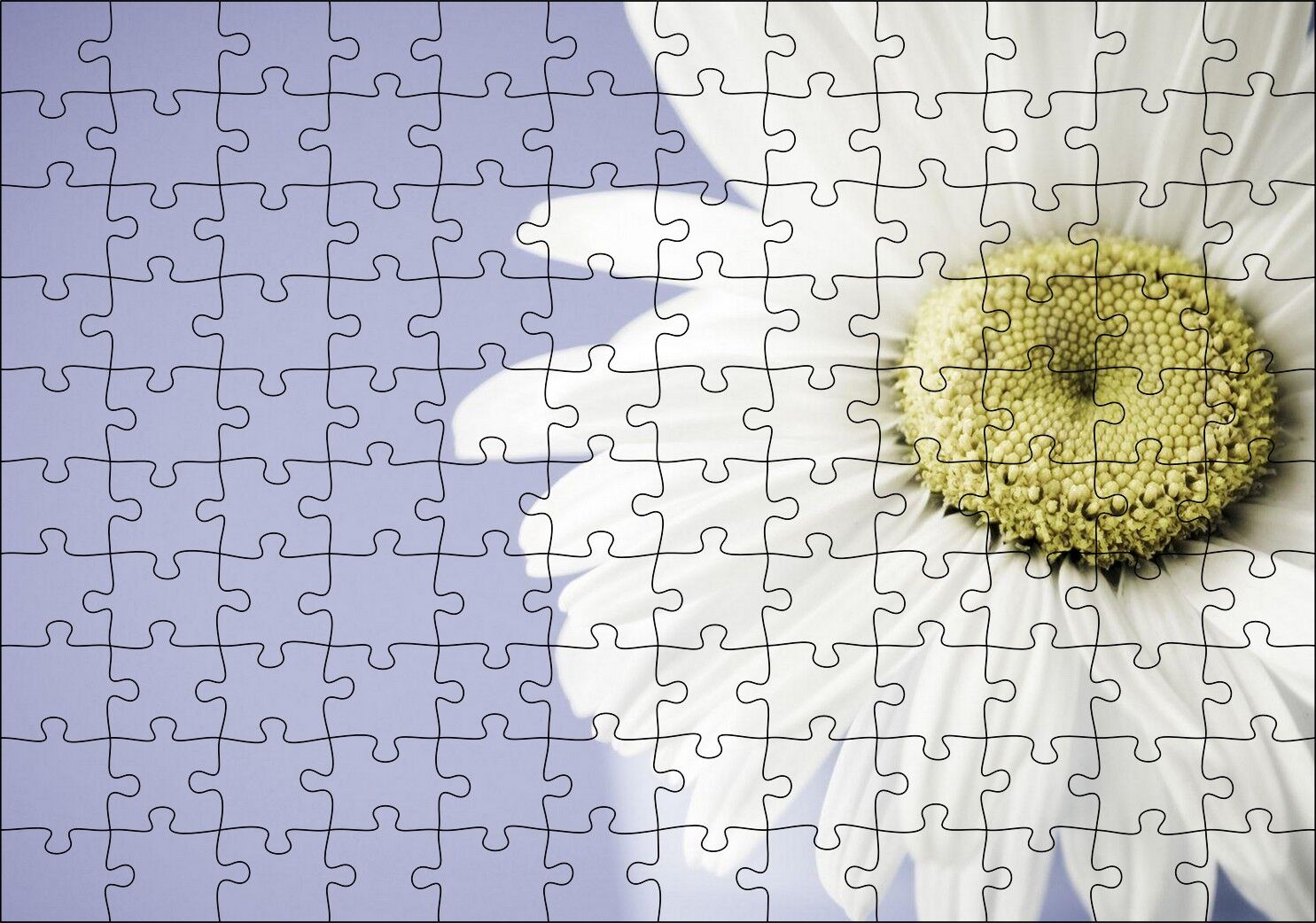 Papatya Yakın Çekim Gökyüzü Arka Plan Puzzle Yapboz MDF Ahşap