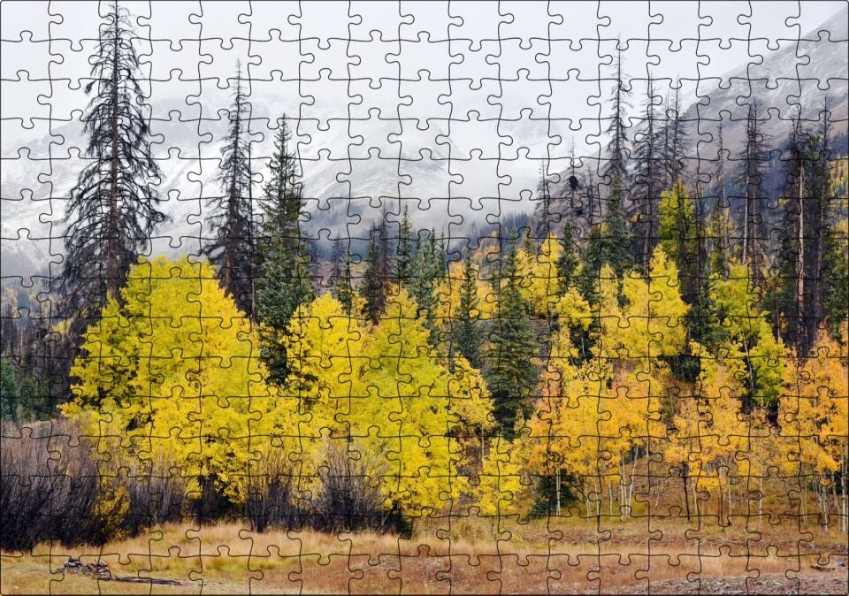 Sonbahar Rengi Ağaçlar ve Arkada Karlı Dağlar Puzzle Yapboz MDF Ahşap 255 Parça 34 cm X 49 cm