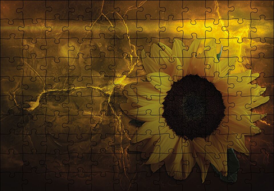 Ayçiçeği Çatlak Zeminde Kadın Figürü Puzzle Yapboz MDF Ahşap
