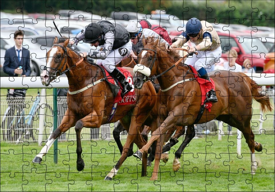 Parkurda Kıyasıya Yarışan Safkanlar Puzzle Yapboz MDF Ahşap