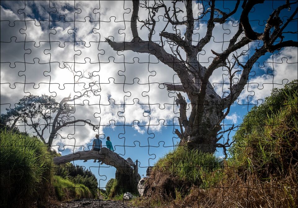 Bulutlar Kuru Ağaç ve Dalındaki Çift Puzzle Yapboz MDF Ahşap