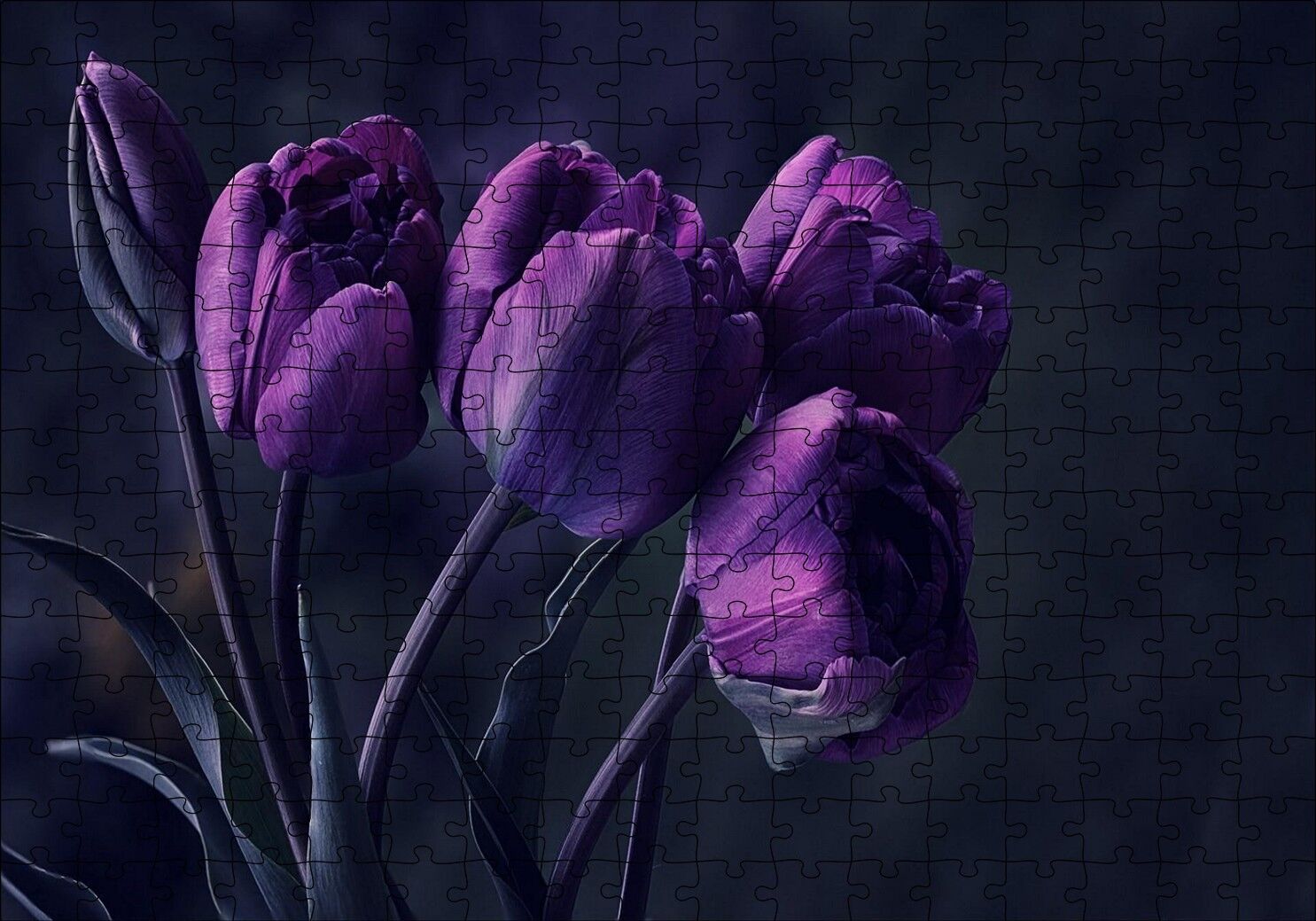 Mor Laleler Puzzle Yapboz MDF Ahşap 255 Parça 34 cm X 49 cm