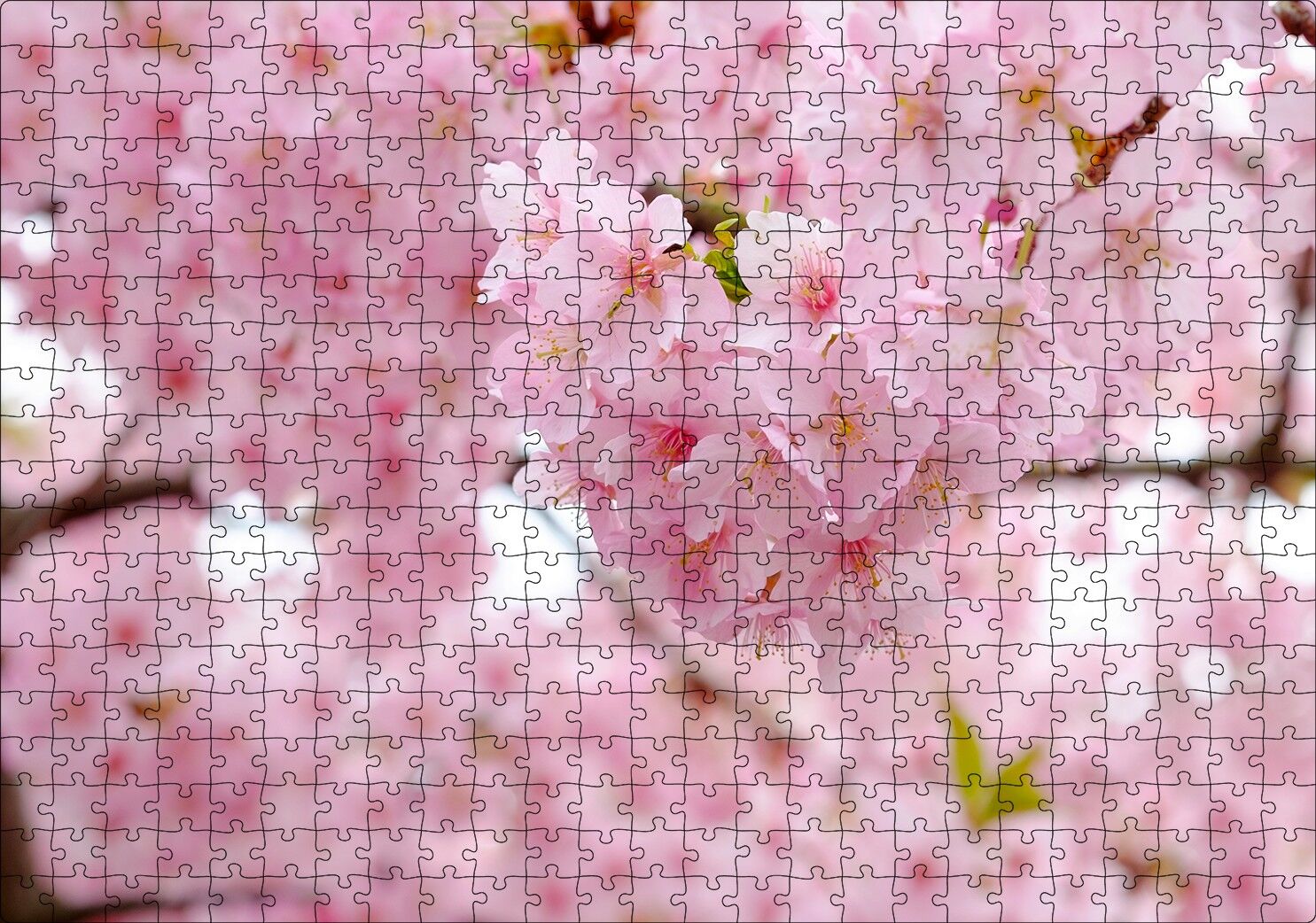 Kiraz Çiçeği Görseli Puzzle Yapboz MDF Ahşap 500 Parça 49 cm X 68 cm