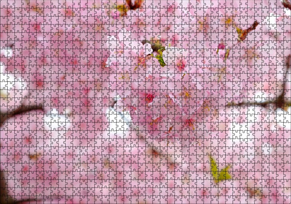 Kiraz Çiçeği Görseli Puzzle Yapboz MDF Ahşap 1000 Parça 49 cm X 68 cm