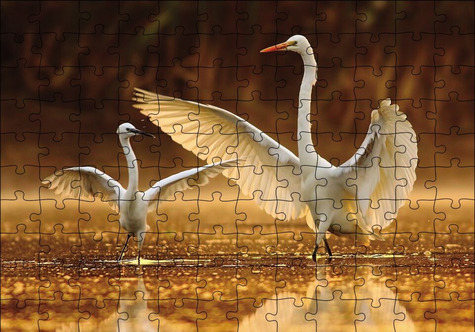 Balıkçıl Kuş ve Yavrusu Puzzle Yapboz MDF Ahşap