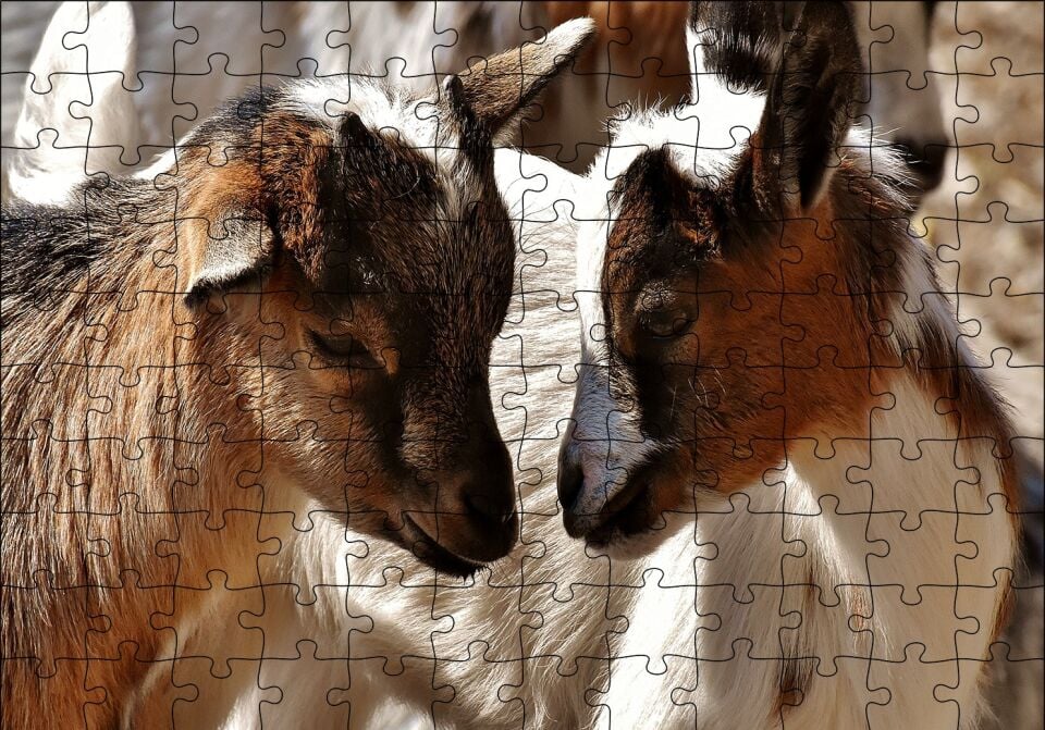 Sevimli Oğlaklar Görseli Puzzle Yapboz MDF Ahşap 120 Parça 24 cm X 34 cm