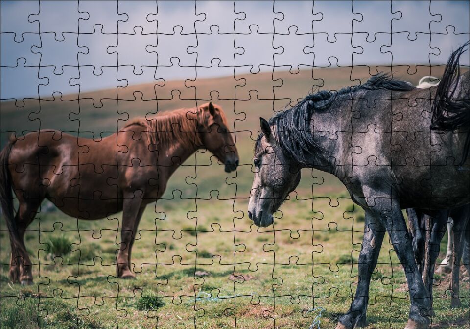 Çayırda Yılkı Atları Puzzle Yapboz MDF Ahşap