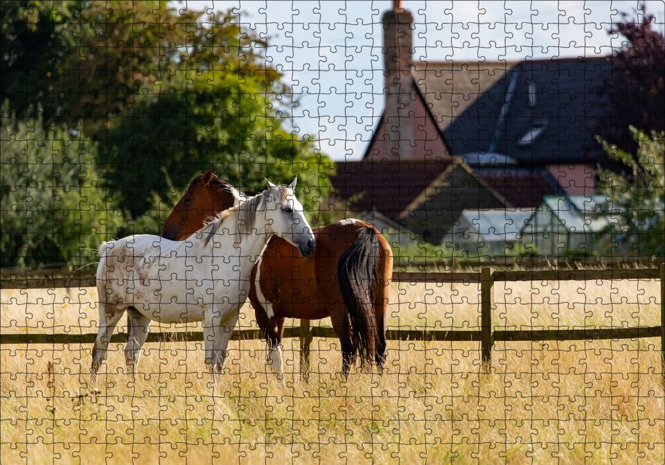 Kahverengi ve Beyaz Atlar Puzzle Yapboz MDF Ahşap 500 Parça 49 cm X 68 cm