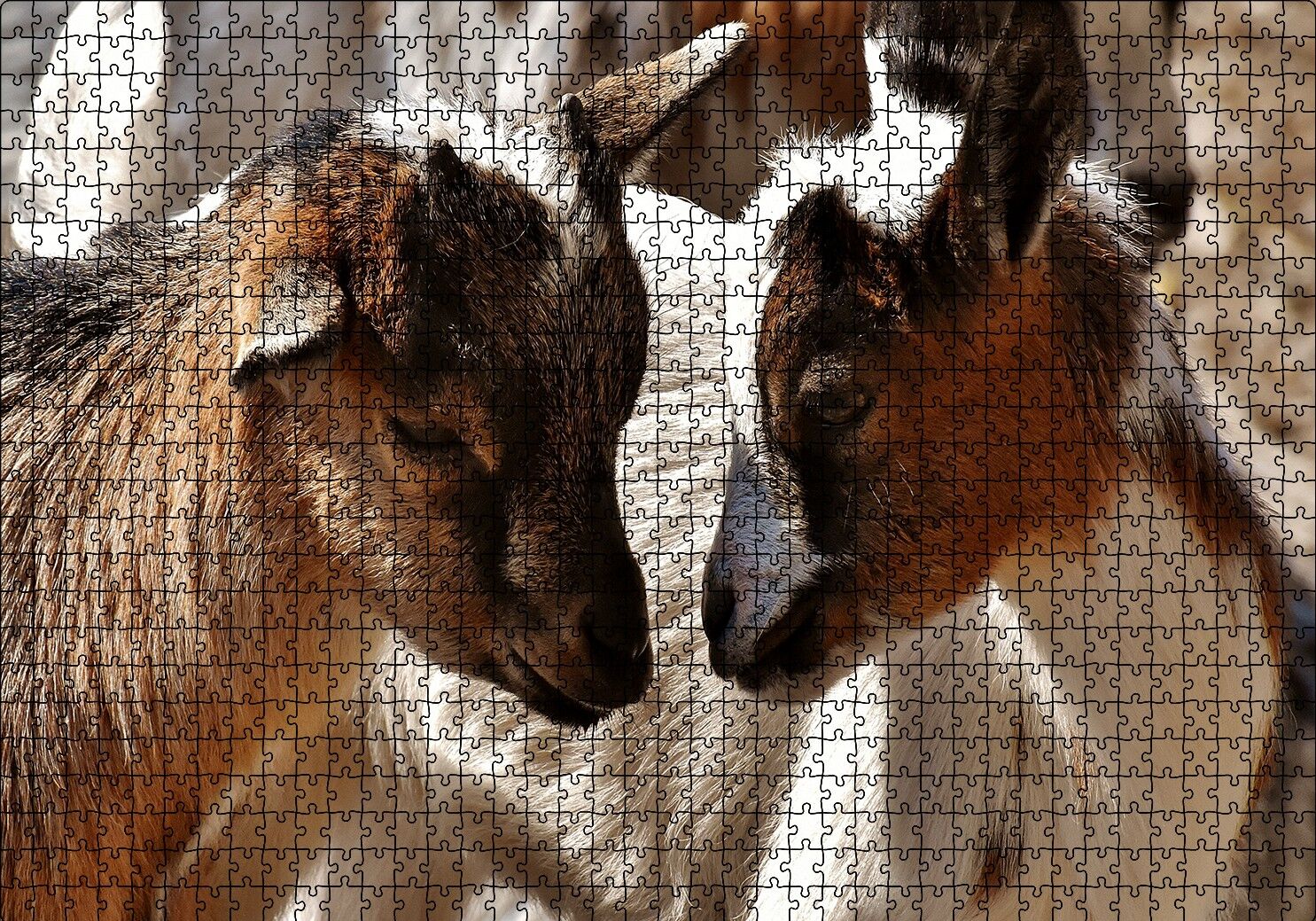 Sevimli Oğlaklar Görseli Puzzle Yapboz MDF Ahşap 1000 Parça 49 cm X 68 cm