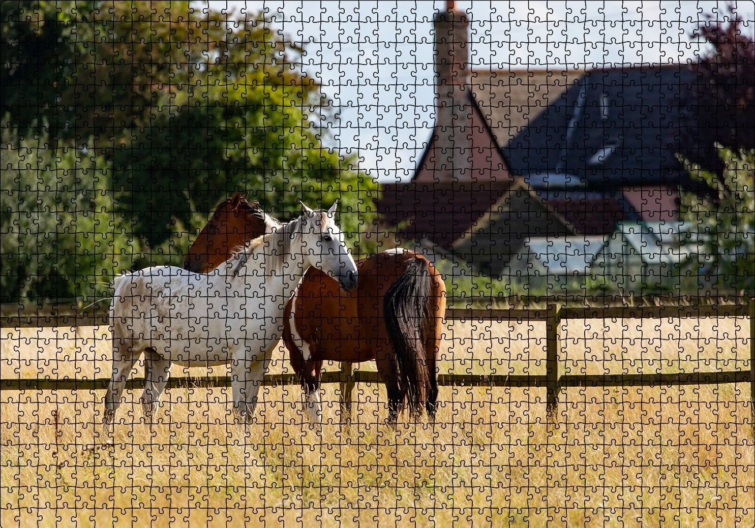 Kahverengi ve Beyaz Atlar Puzzle Yapboz MDF Ahşap 1000 Parça 49 cm X 68 cm