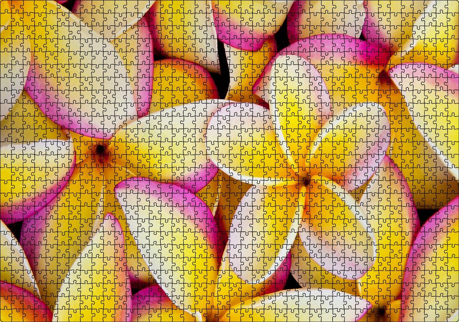 Sarı Plumeria Çiçekleri Puzzle Yapboz MDF Ahşap 1000 Parça 49 cm X 68 cm