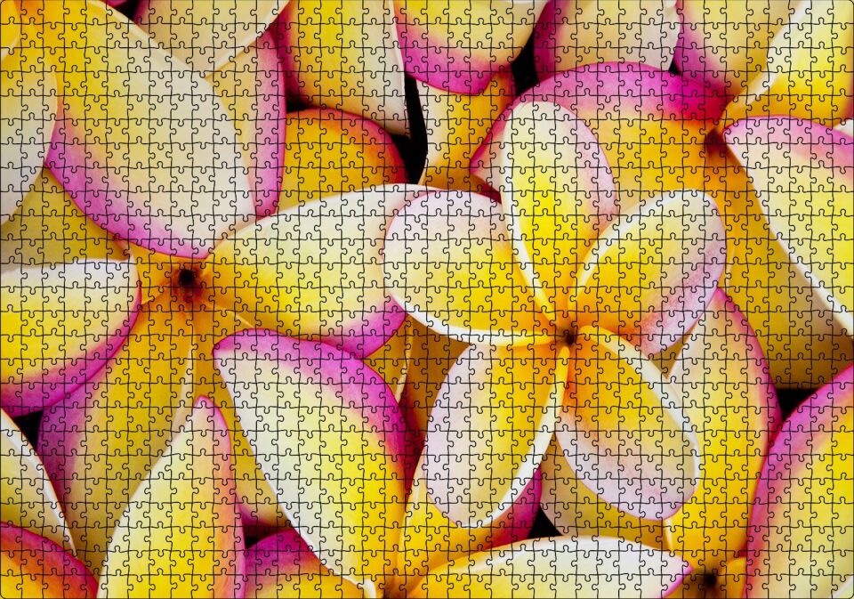 Sarı Plumeria Çiçekleri Puzzle Yapboz MDF Ahşap 1000 Parça 49 cm X 68 cm