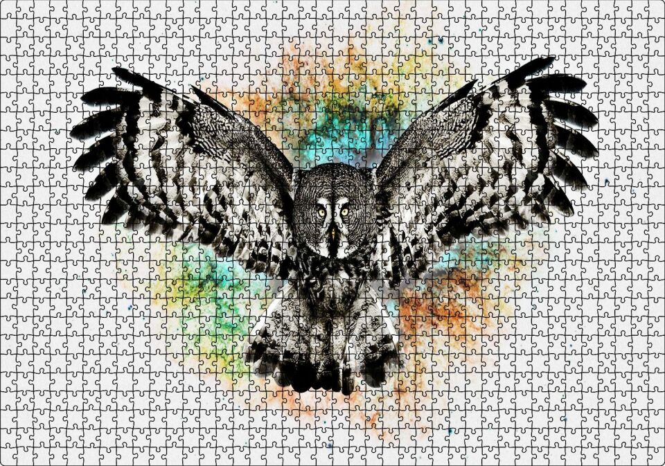 Siyah Beyaz Baykuş Animasyonu Görseli Puzzle Yapboz MDF Ahşap 1000 Parça 49 cm X 68 cm