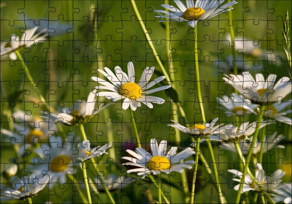 Siyah Papatyalar Puzzle Yapboz MDF Ahşap 120 Parça 24 cm X 34 cm