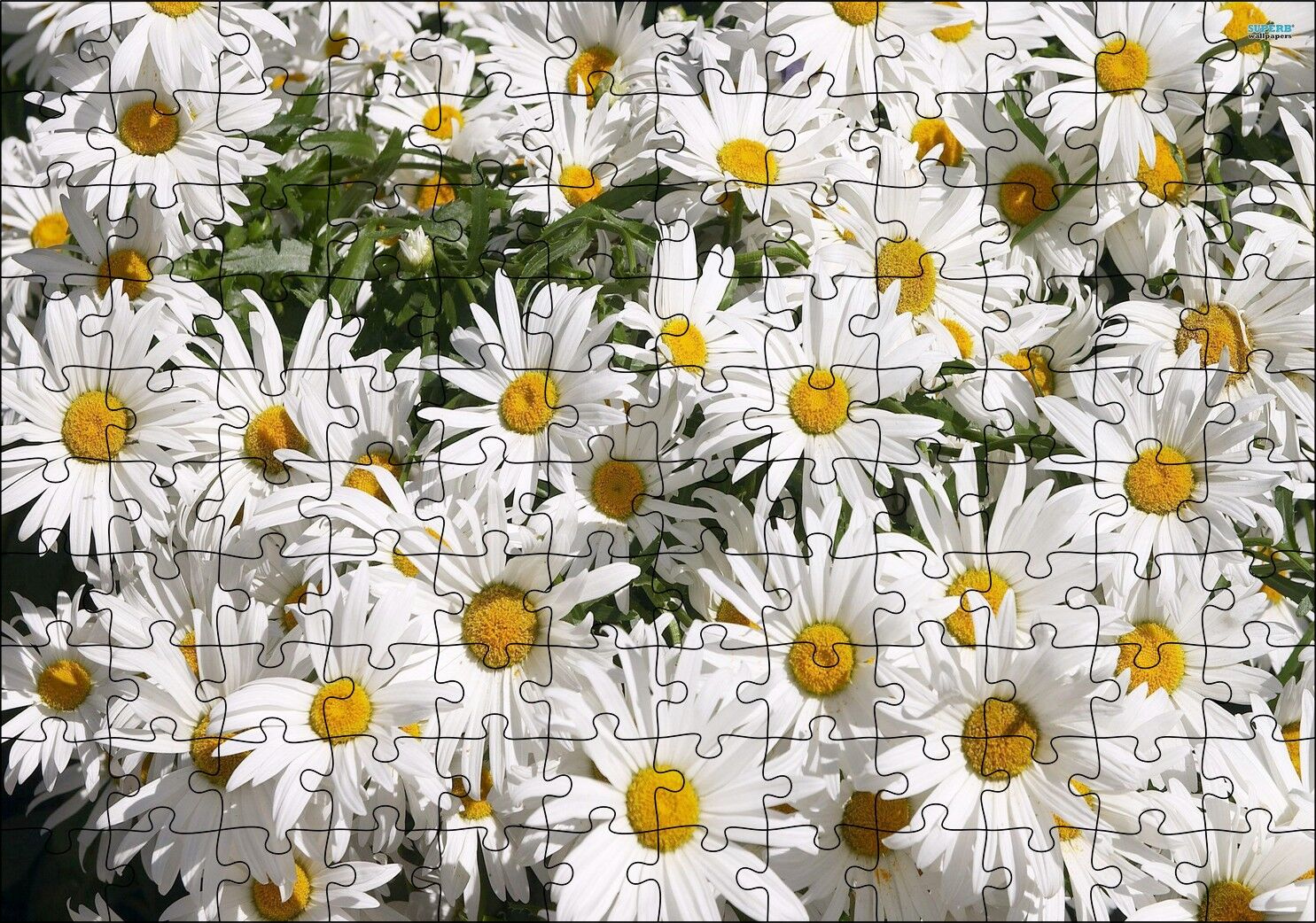 Beyaz Büyük Papatyalar Puzzle Yapboz MDF Ahşap 120 Parça 24 cm X 34 cm