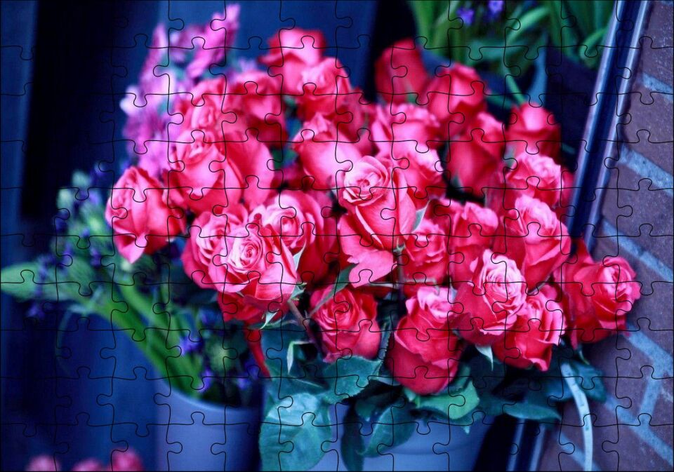 Saksı İçinde Muhteşem Kırmızı Güller Puzzle Yapboz MDF Ahşap