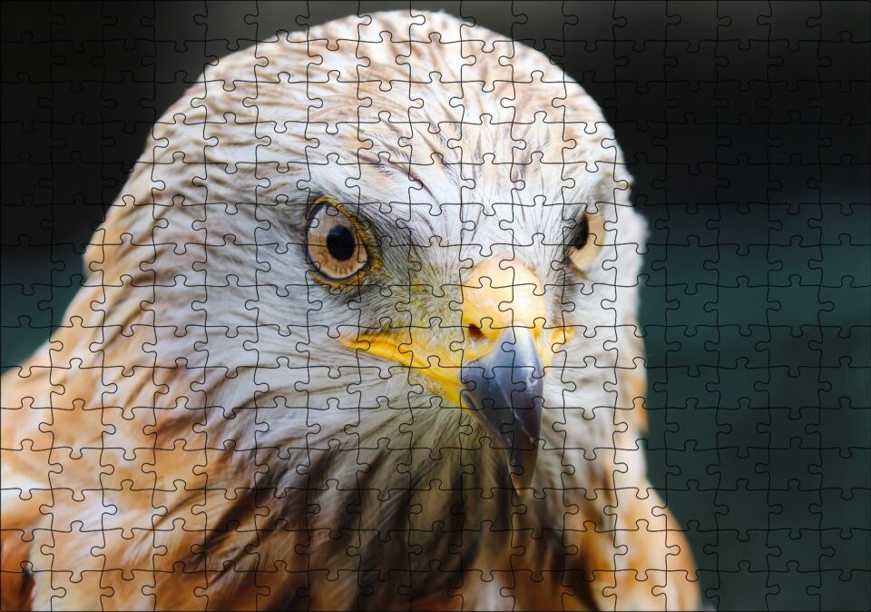Şahin Keskin Gözler Yakın Çekim Puzzle Yapboz MDF Ahşap 255 Parça 34 cm X 49 cm