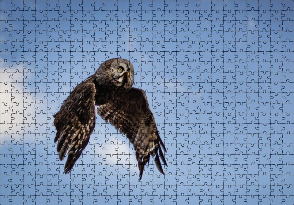 Uçan Baykuş Puzzle Yapboz MDF Ahşap 500 Parça 49 cm X 68 cm