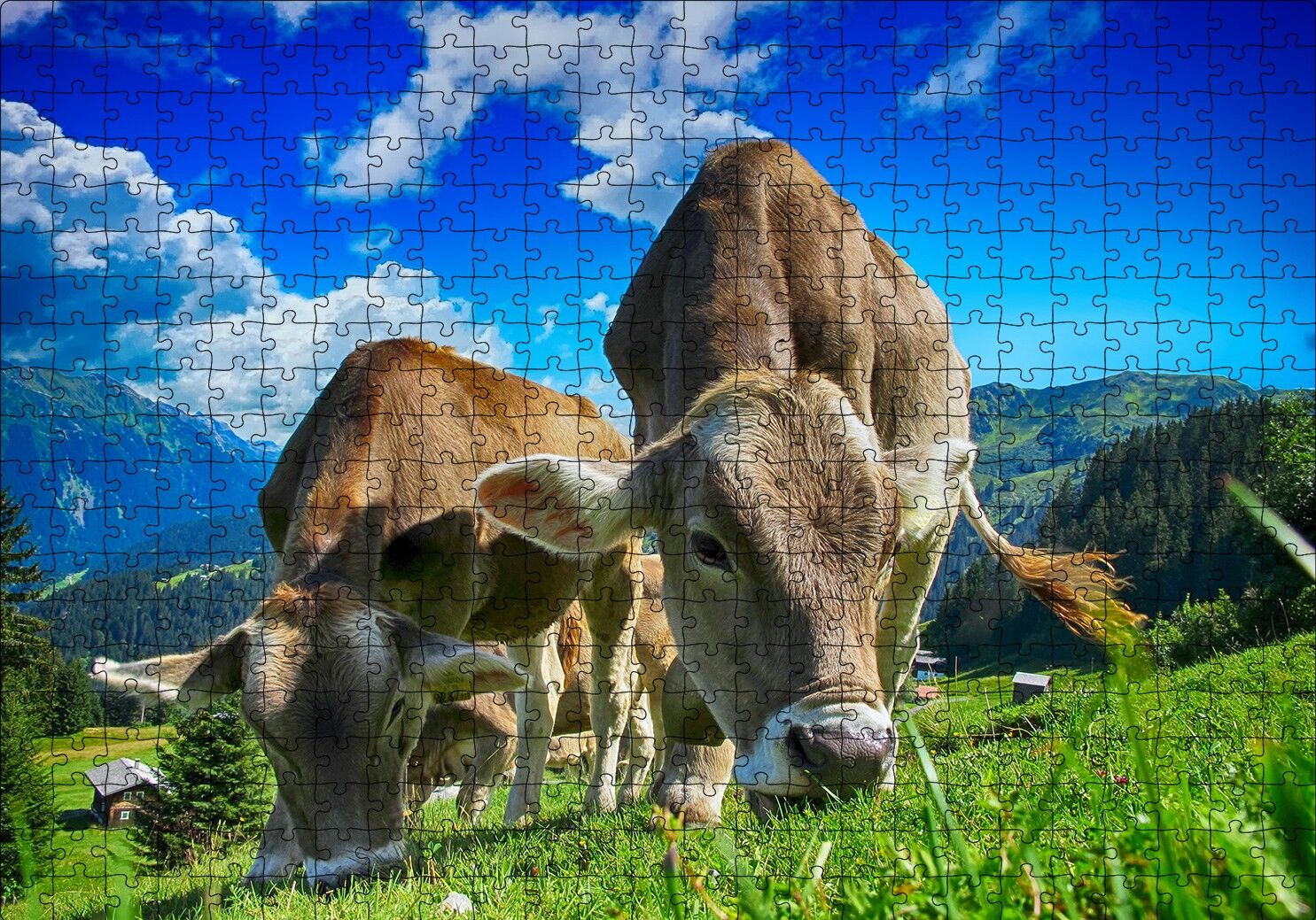 Yayladaki İnekler Puzzle Yapboz MDF Ahşap 500 Parça 49 cm X 68 cm