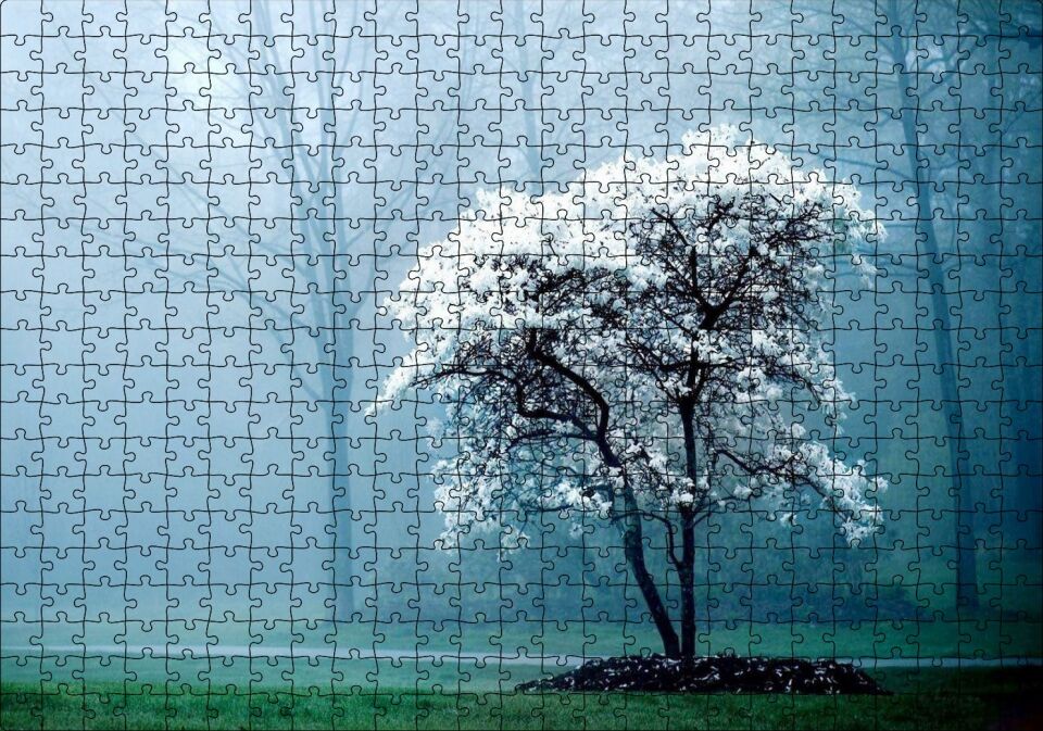 Beyaz Çiçekli Ağaç ve Arkada Sisli Orman Puzzle Yapboz MDF Ahşap 500 Parça 49 cm X 68 cm
