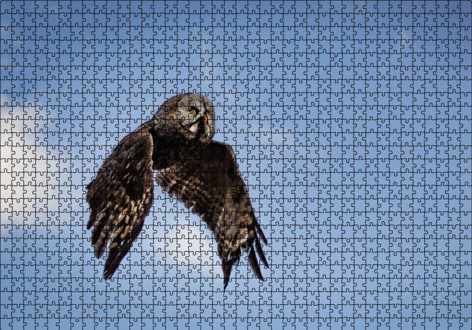 Uçan Baykuş Puzzle Yapboz MDF Ahşap 1000 Parça 49 cm X 68 cm