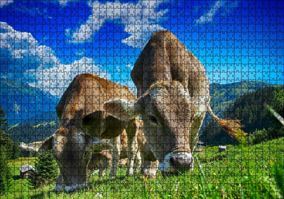 Yayladaki İnekler Puzzle Yapboz MDF Ahşap 1000 Parça 49 cm X 68 cm