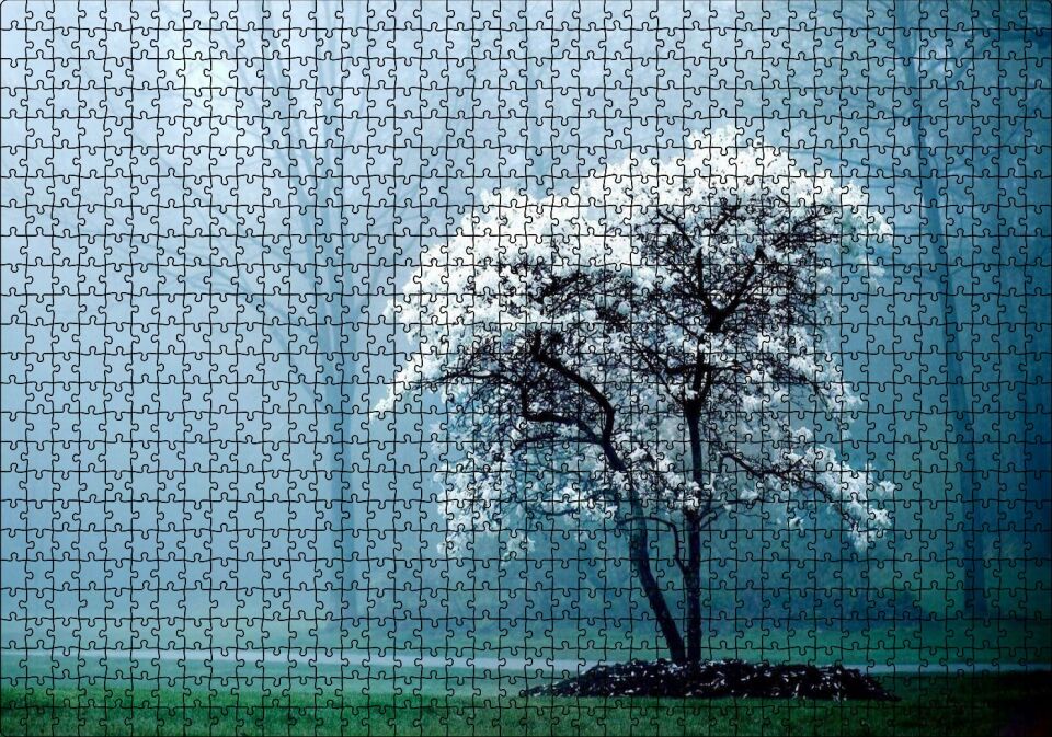 Beyaz Çiçekli Ağaç ve Arkada Sisli Orman Puzzle Yapboz MDF Ahşap 1000 Parça 49 cm X 68 cm