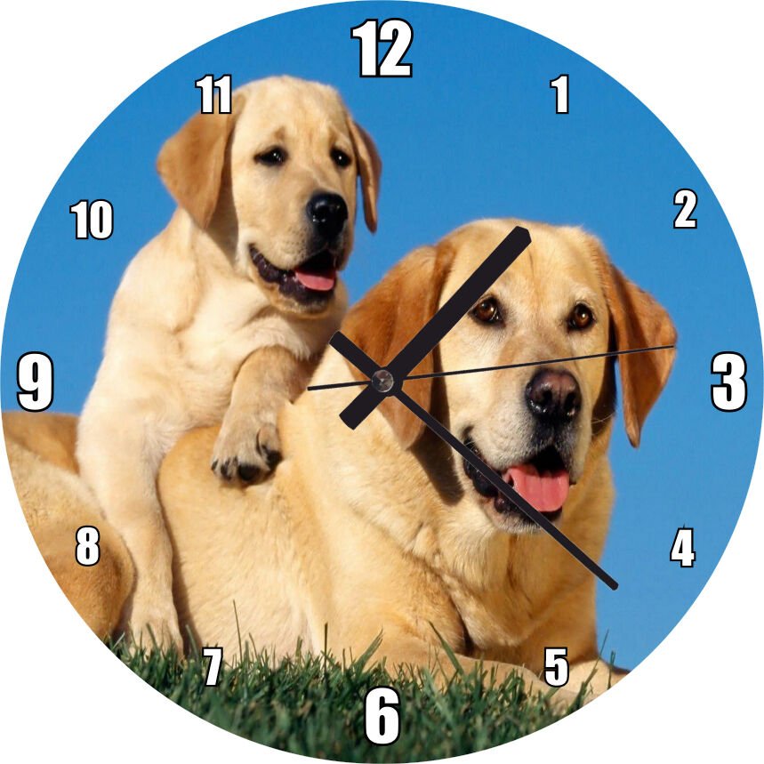 Çayırda Anne Labrador ve Yavrusu Mdf Ahşap Duvar Saati 50 cm Çap