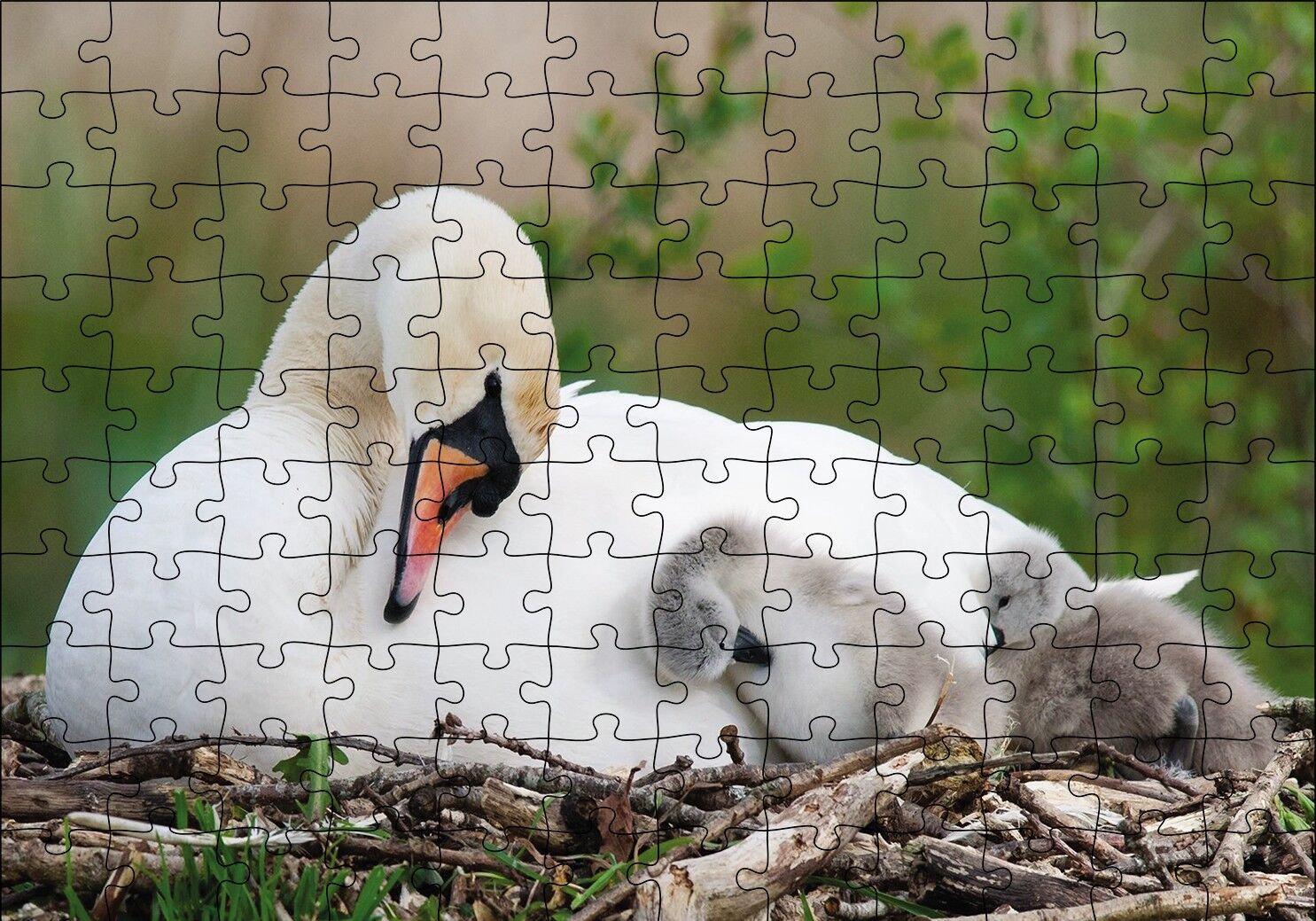 Uykudaki Kuğu Ailesi Puzzle Yapboz MDF Ahşap 120 Parça 24 cm X 34 cm