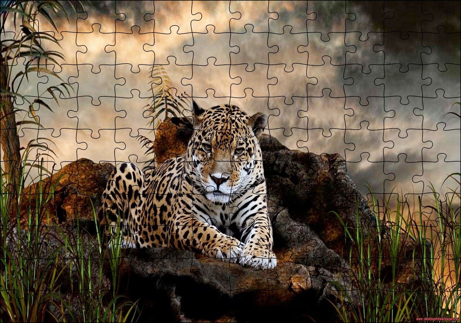 Kayalıklarda Jaguar Kara Bulutlar Görseli Puzzle Yapboz MDF Ahşap