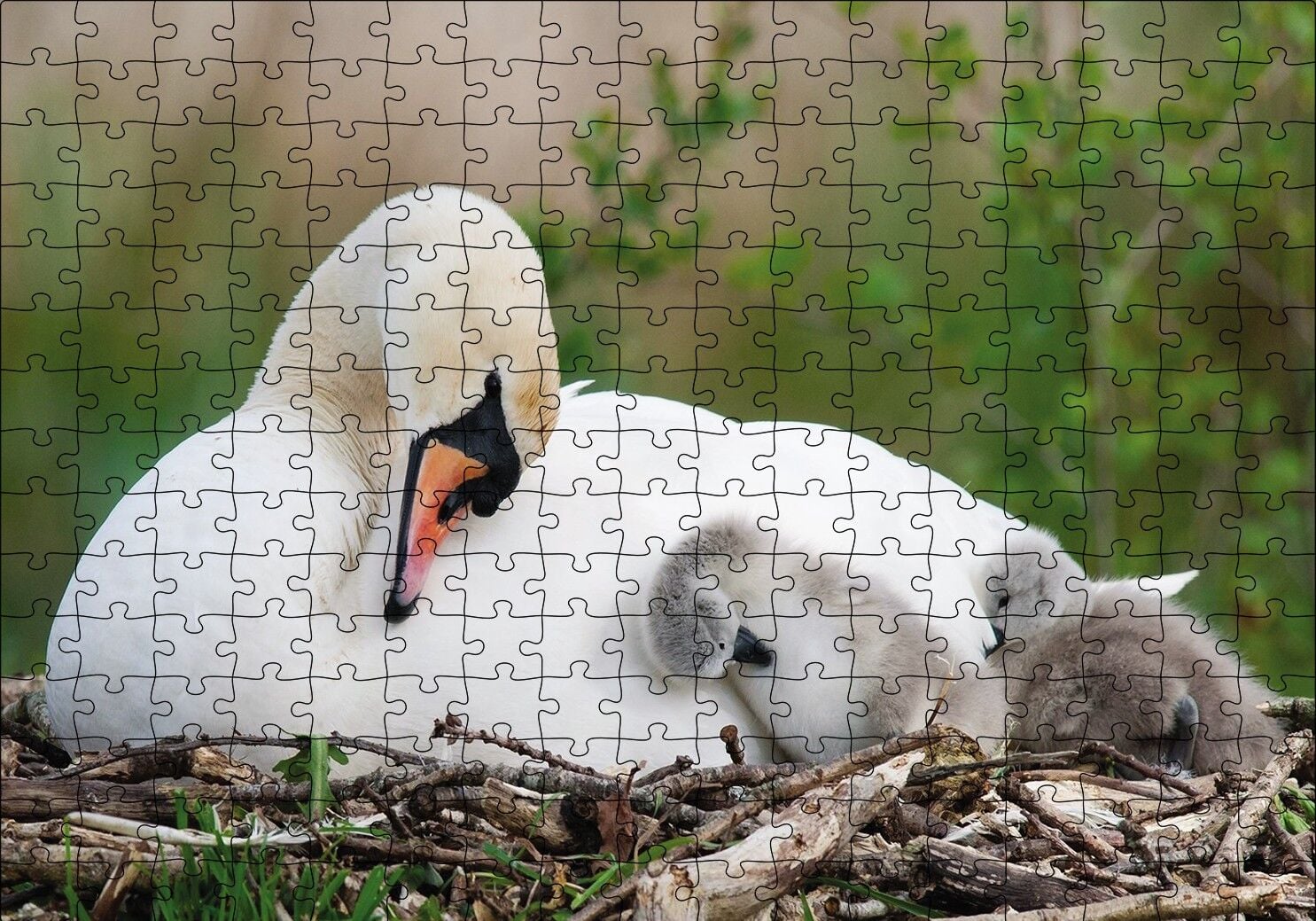 Uykudaki Kuğu Ailesi Puzzle Yapboz MDF Ahşap 255 Parça 34 cm X 49 cm