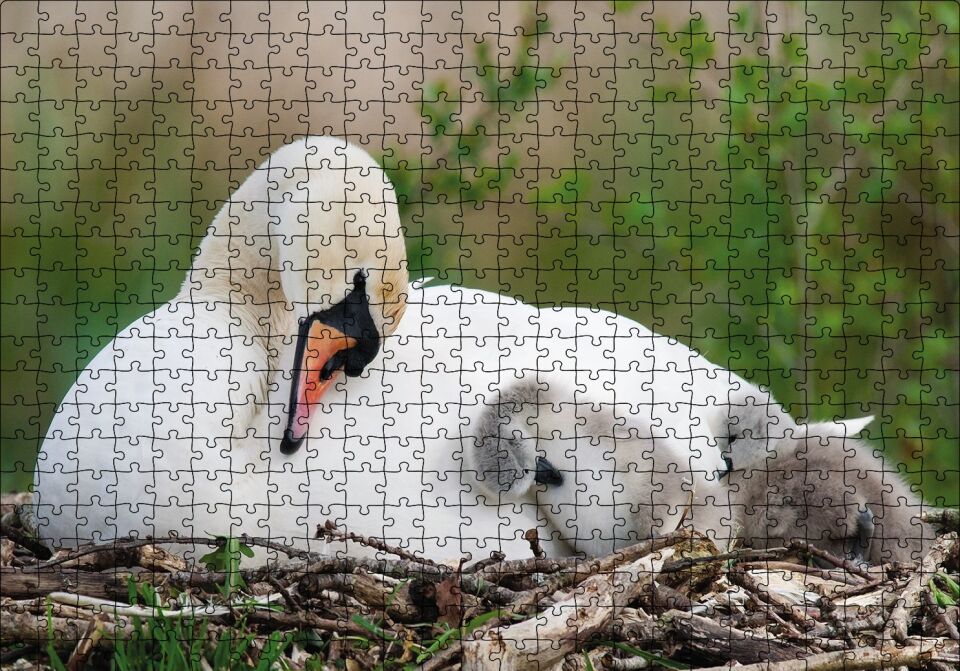 Uykudaki Kuğu Ailesi Puzzle Yapboz MDF Ahşap 500 Parça 49 cm X 68 cm