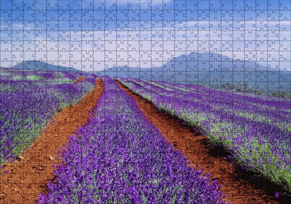Avustralya Tazmanya Lavanta Tarlaları Puzzle Yapboz MDF Ahşap 500 Parça 49 cm X 68 cm