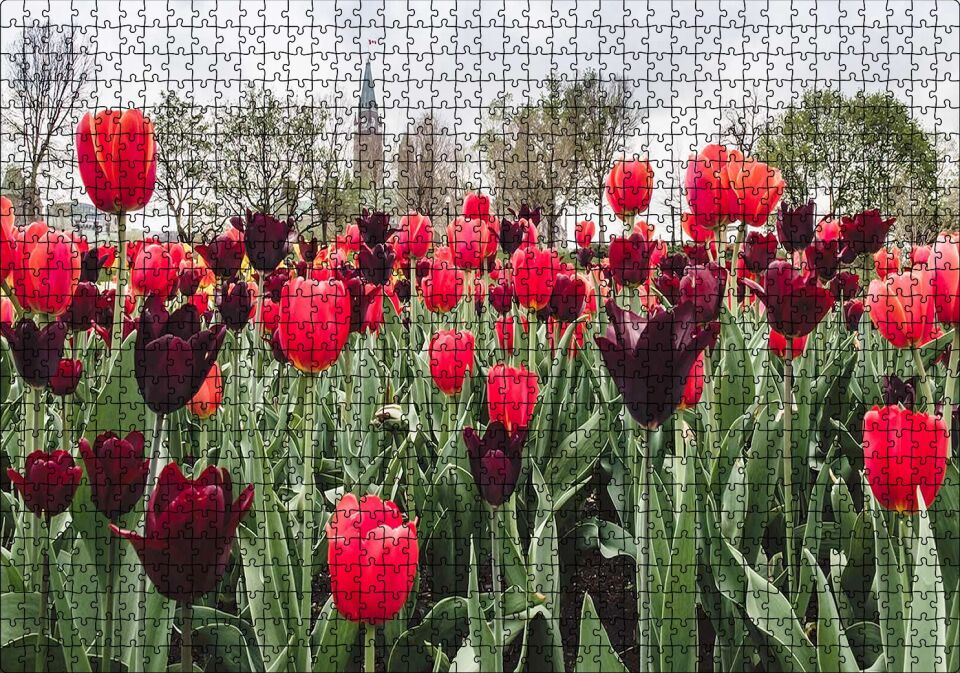 Turuncu Ve Mor Laleler Puzzle Yapboz MDF Ahşap 1000 Parça 49 cm X 68 cm