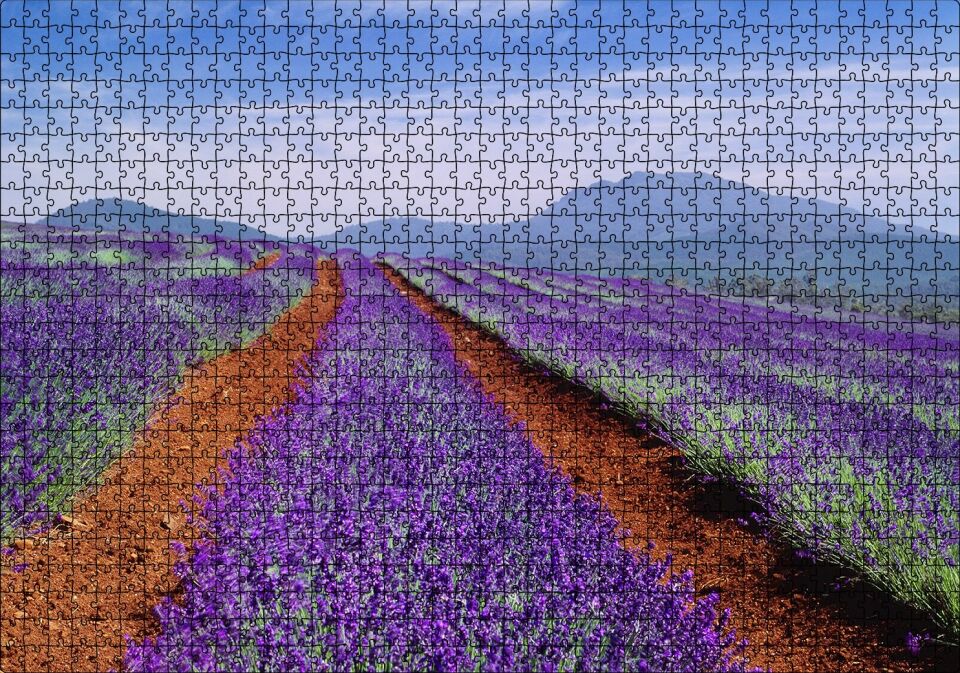 Avustralya Tazmanya Lavanta Tarlaları Puzzle Yapboz MDF Ahşap 1000 Parça 49 cm X 68 cm